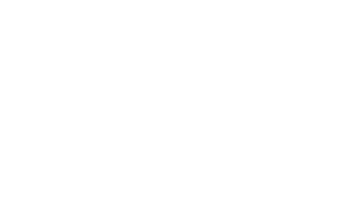 ProMiner