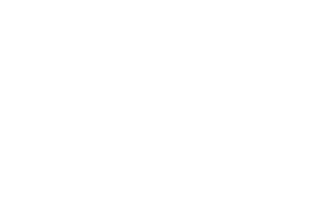 Raquis